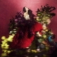 WARE, JESSIE-SUPERBLOOM
