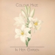 COLOUR HAZE-IN HER GARDEN