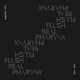 GAMBLE, LEE-FLUSH REAL PHARYNX
