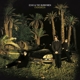 ECHO AND THE BUNNYMEN-EVERGREEN -COLOURED-