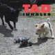 TAD-INHALER