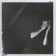 AUGUST, DAVID-DANGELO
