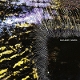 GILLA BAND-GIRAFFE