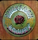 GRATEFUL DEAD-AMERICAN BEAUTY