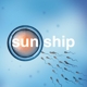 BRIAN JONESTOWN MASSACRE-SUN SHIP-10