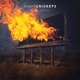 NIGHT CRICKETS-A FREE SOCIETY