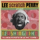 VARIOUS-FLASHING ECHO LEE SCRATCH PERRY PRESENTS JUNGLE LION TH