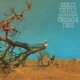 TUTTLE, MOLLY & GOLDEN HIGHWAY-CROOKED TREE