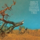 TUTTLE, MOLLY & GOLDEN HIGHWAY-CROOKED TREE