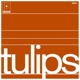 MASTON-TULIPS