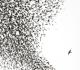 WILCO-SKY BLUE SKY
