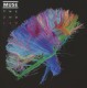 MUSE-2ND LAW