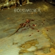 BODYSNATCHER-VILE CONDUCT -COLOURED-
