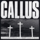GONJASUFI-CALLUS