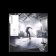 SAOSIN-TRANSLATING THE NAME -PICTURE DISC-