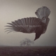 KATATONIA-FALL OF HEARTS