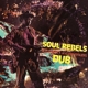 MARLEY, BOB & THE WAILERS-SOUL REBELS DUB
