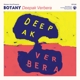 BOTANY-DEEPAK VERBERA (YELLOW / WHITE SPLATTE...
