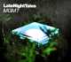 MGMT-LATE NIGHT TALES