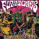FUZZTONES-BURIED TREASURE