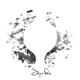 SIGUR ROS-()
