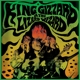 KING GIZZARD & THE LIZARD WIZARD-LIVE AT LEVITATION 2014 -COLOU