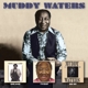 WATERS, MUDDY-HARD AGAIN/ I M READY/ KING BEE
