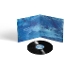 O'BRIEN, ED-BLUE MORPHO