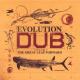 AGGROVATORS-EVOLUTION OF DUB VOL.2