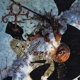 PRINCE-CHAOS AND DISORDER