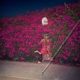 FEIST-PLEASURE
