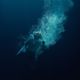 LAPSLEY-THROUGH WATER (LP+7")