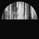 CULT OF LUNA-VERTIKAL II