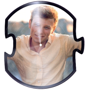 HALLYDAY, JOHNNY-THE VOGUE YEARS VOL. 2 -PICTURE DISC-