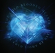 COLD BLOODED HEARTS-COLD LIGHT OF DAY
