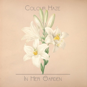 COLOUR HAZE-IN HER GARDEN