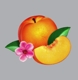 PHOENIX-BANKRUPT!