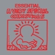 VARIOUS-ICON: A VERY SPECIAL CHRISTMAS