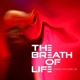 BREATH OF LIFE, THE-SPARKS AROUND US