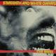 STARDEATH AND WHITE DWARFS-BIRTH