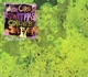 ANIMAL COLLECTIVE-WATER CURSES