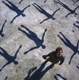 MUSE-ABSOLUTION