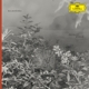 BALMORHEA, JASON TREUTING-PENDANT WORLD