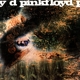 PINK FLOYD-A SAUCERFUL OF SECRETS =MONO VERSI...