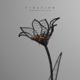 FIXATION-MORE SUBTLE THAN DEATH