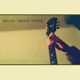 WILCO-BEING THERE