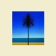 METRONOMY-ENGLISH RIVIERA