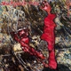 STRAITJACKETS FIT-HAIL
