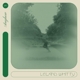 WHITTY, LELAND-ANYHOW