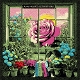 DOBSON, BONNIE & THE HANGING STARS-DREAMS